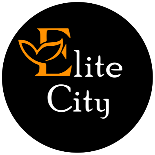 elite city logo.png